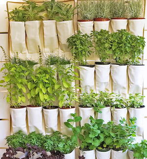 Shoe Organizer Garden