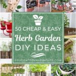 50 ideas de jardín de hierbas de bricolaje baratas y fáciles