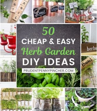 50 Cheap and Easy DIY Herb Garden Ideas