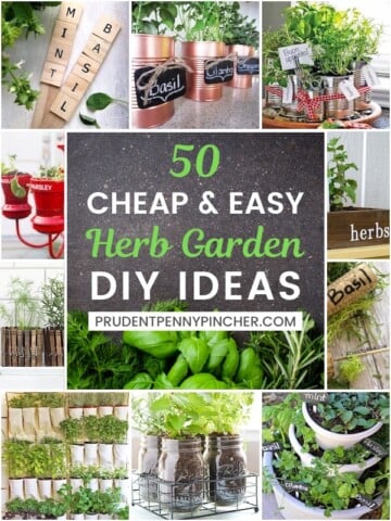 50 Cheap and Easy DIY Herb Garden Ideas