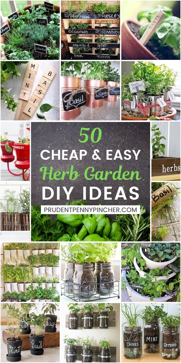 50 ideas de jardín de hierbas de bricolaje baratas y fáciles