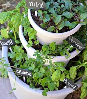 diy Herb garden Tiered Plant Pots idea