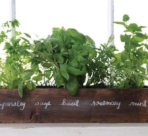 Windowsill Herb Garden planter box