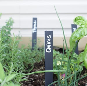 Chalkboard garden Markers 