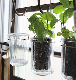 Indoor Hanging Herb Garden