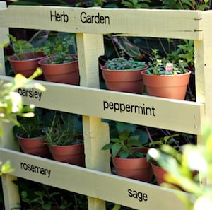 DIY Pallet Herb Garden