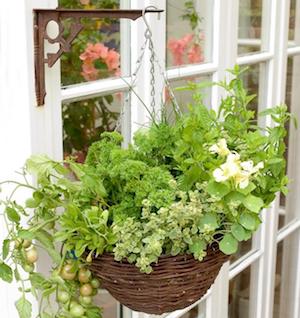 Cesta colgante de hierbas y verduras