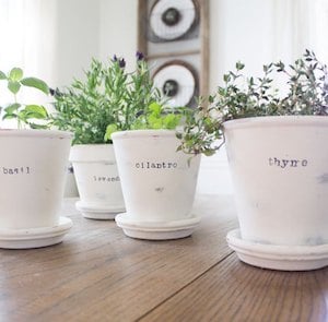 Chalk Painted Herb Planters with stamped labels