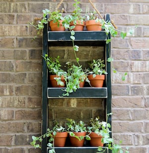 Jardinera de madera para la pared 