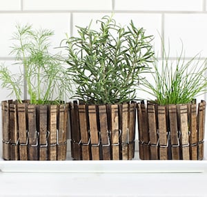 Clothespin Herb Planters