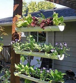 Hanging Gutter Garden 