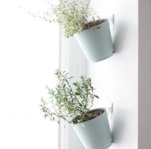 Hanging Indoor Herb Garden