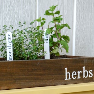 Wood Box Herb Garden with garden markers