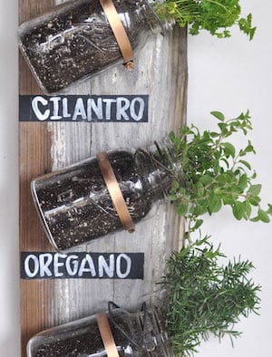 Mason Jar Herb Garden Hanger