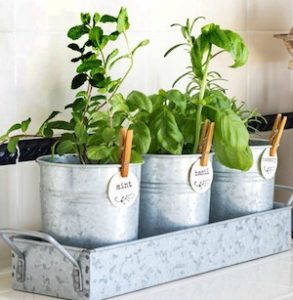 60 DIY Herb Garden Ideas - Prudent Penny Pincher