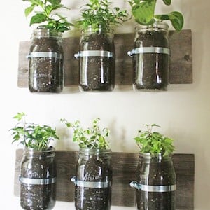 Mason Jar Wall Planter 