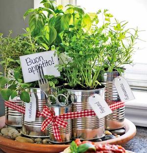 Kitchen Countertop Herb Garden 
