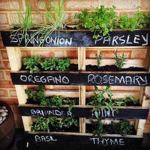 pallet vertical DIY garden idea