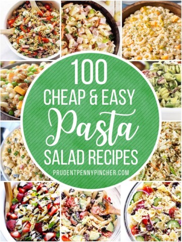 100 Cheap and Easy Crockpot Recipes - Prudent Penny Pincher