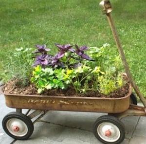Herb Planter From a Wagon