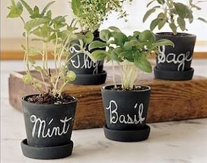 Chalkboard painted Terracotta Pots