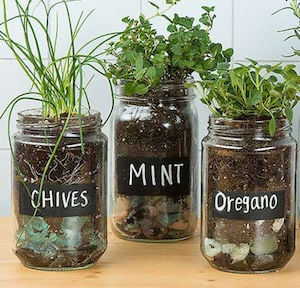 Idea de jardín de hierbas Mason Jar