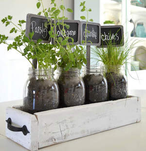 Table Top Herb Garden from a Pallet