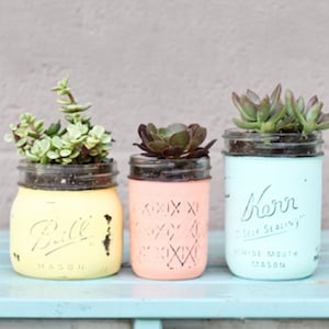 Mason Jar Succulent Pots