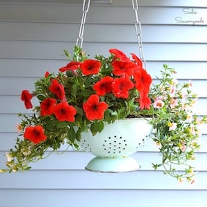 Hanging Colander filled with flowers