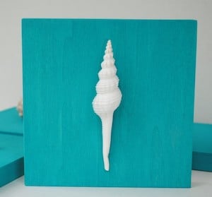 Shell Art Canvas