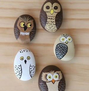 rocks painted like owls