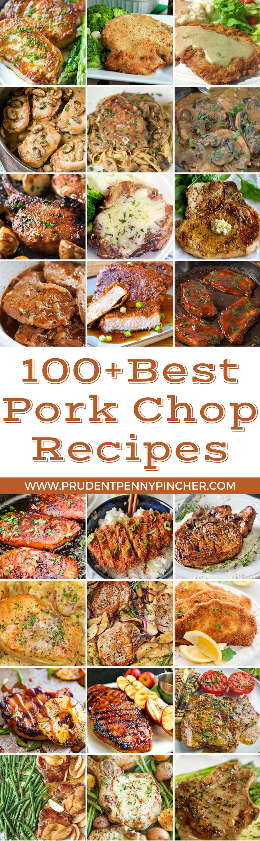 pork chop recipes