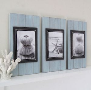  Seashell Photography Pallet Art