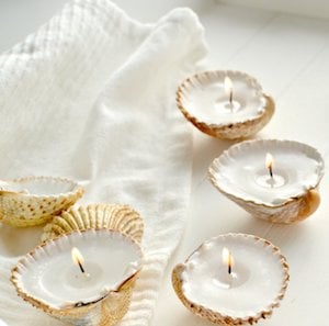 Handmade Shell Candles 