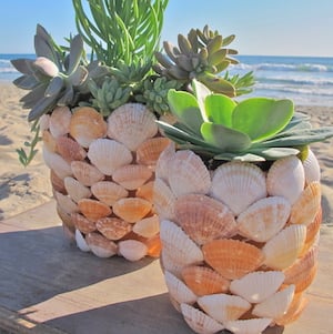 Seashell Planter