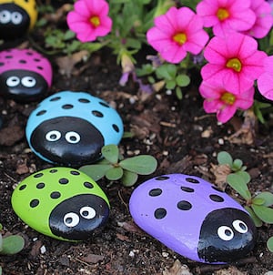 Ladybug Rocks