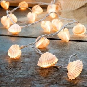Seashell Lights