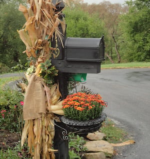 Corn Stalk Mailbox