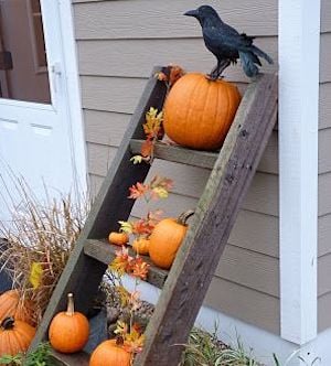 escalera en el costado de la casa decorada con calabazas, hojas y un cuervo