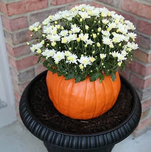 DIY Pumpkin Flower Pot fall decor idea