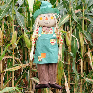 diy scarecrow in yard