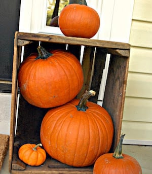 caja de madera y calabazas al aire libre decoración de otoño