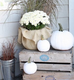 exhibición de cajas de otoño para el porche con calabazas blancas y crisantemos blancos
