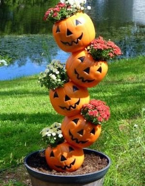 pumpkin pail fall topiary 