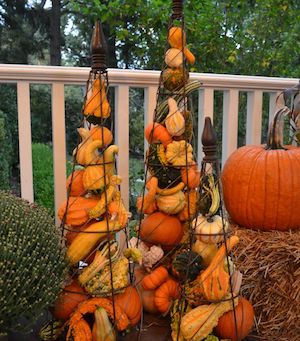 tomato cage filled with pumpkins and gourds