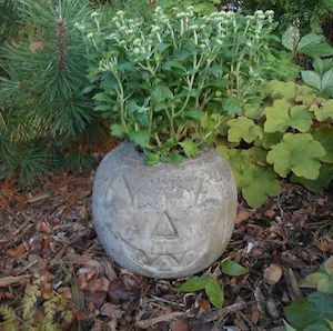 jardinera de calabaza de hormigón