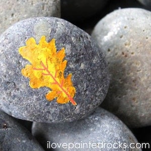 Fall Leaf Rock