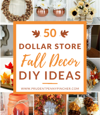 50 dollar store fall