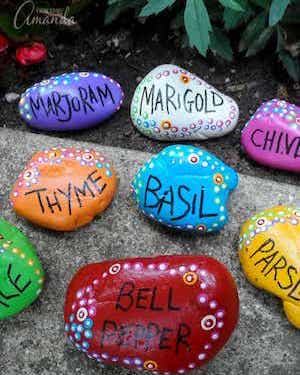 colorful labelled Garden Markers