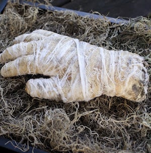 dollar tree Mummy Hand 